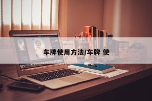 车牌使用方法/车牌 使